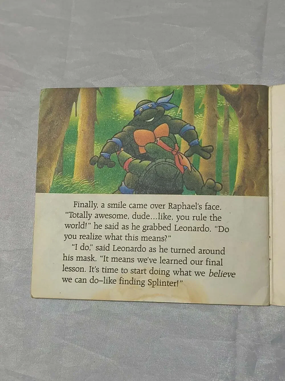 Random House Teenage Mutant Ninja Turtles The Final Lesson PB 1990 Holm